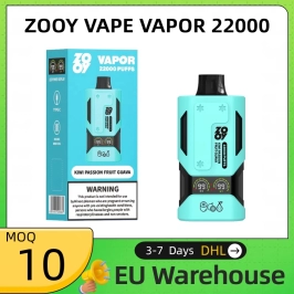 Wide Flavor Selection Zooy Vape 22000 Puffs Wholesale Recharge