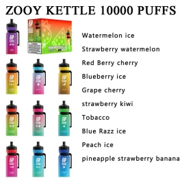 All Flavors Zooy Vape 10000 Puffs Wholesale Recharge