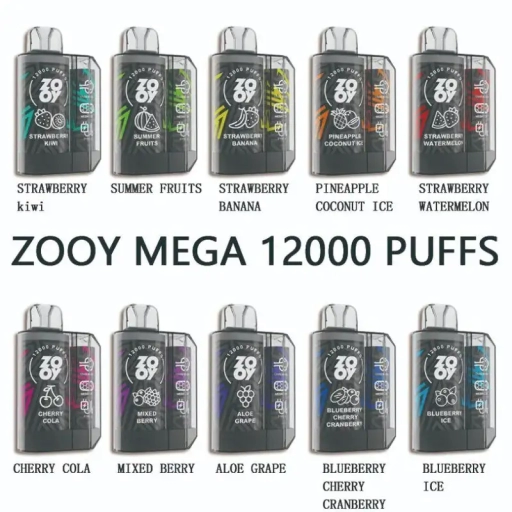 Zooy Disposable Vape 12000 Puffs