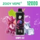 Europe Zooy Bar Vapes 12000 Puffs