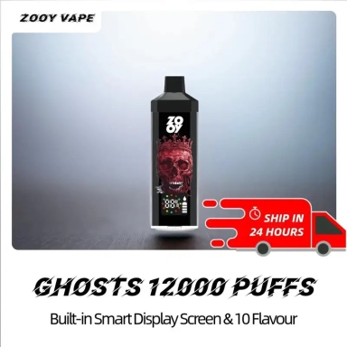 Zooy LARGE PUFFS 12000 Disposable Vape Pen