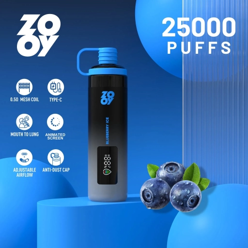 Zooy 25000 Puffs Disposable Vape Price