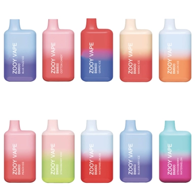 Wholesale Zooy Bar Vape Pro 800 Puffs Nederland MINI