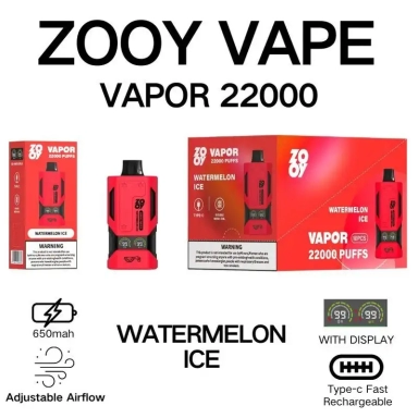 Zooy Bar 22000 Puffs Disposable Vape VAPOR
