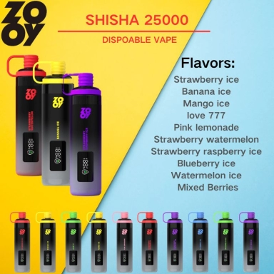 Wholesale Zooy 2 Puffs Nederland SHISHA Disposable Vape Pro Pen