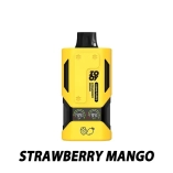 Zooy Bar 22000 Puffs VAPOR Vape