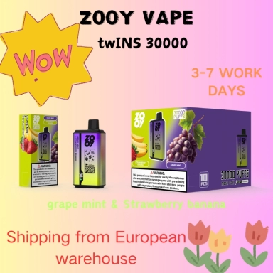 Wholesale Disposable Zooy 30000 Puffs Nederland Vape Pro DUAL