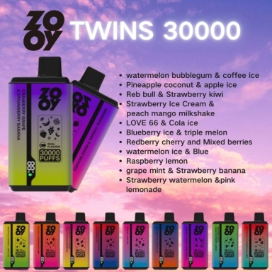 Wholesale Zooy 30000 Puffs Nederland TWINS Disposable Vape Pro