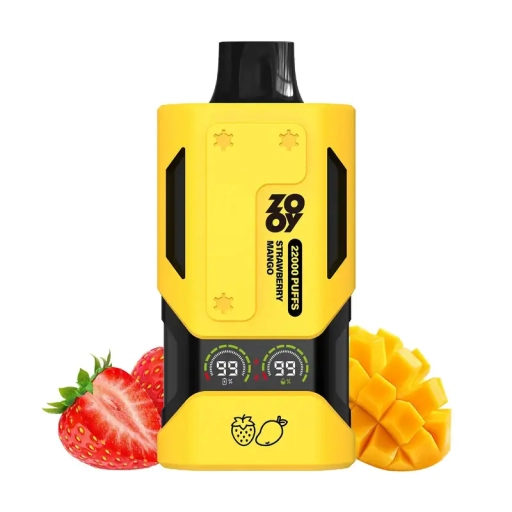 Zooy VAPOR Disposable Vapes 22000 Puffs Wholesale