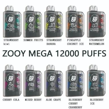 Zooy Vapes 12000 Puffs