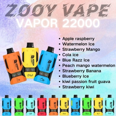 Wholesale Zooy Bar 22000 Puffs Nederland Disposable Vape Pro