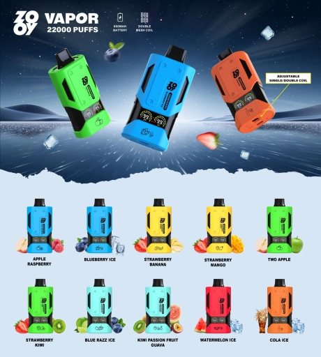 Zooy Vapes VAPOR 22000 Puffs Wholesale Price Cheap