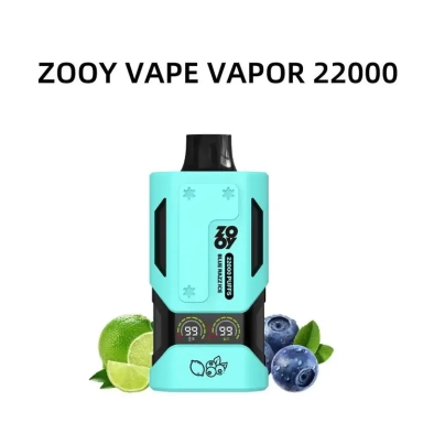 Zooy 22000 Puffs VAPOR Vapes