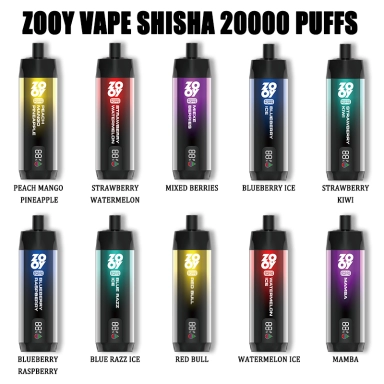Zooy SHISHA Vape Pro 20000 Puffs Nederland Wholesale Eu Warehouse