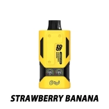 Zooy 22000 Puffs VAPOR Vapes