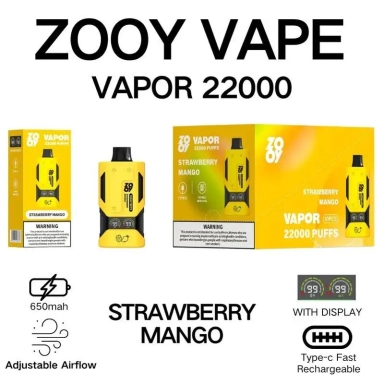 Zooy 22000 Puffs Vapes VAPOR