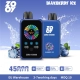 Disposable Zooy Vapes 45000 Puffs ZERO