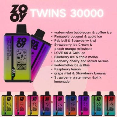 Wholesale Zooy Vape Pro 30000 Puffs Nederland TWINS