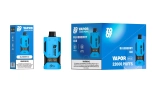 Zooy Bar Vape Pro VAPOR 22000 Puffs Nederland