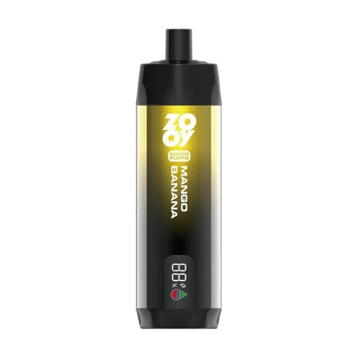 Disposable Zooy Vapes 20000 Puffs Supplier