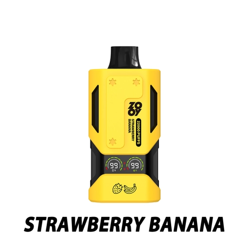 Original Zooy 22000 Puffs Vape Nicotine