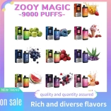 Disposable Zooy Vapes 9000 Puffs