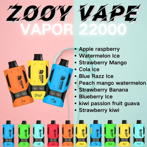 China Zooy 22000 Puffs VAPOR Vape