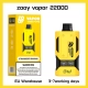 2025 Bulk Pricing Disposable Zooy VAPOR Vape 22000 Puffs Price