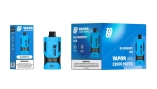 Zooy VAPOR Vape 22000 Puffs