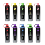 Wholesale Disposable Zooy Vape Pro 2 Puffs Nederland