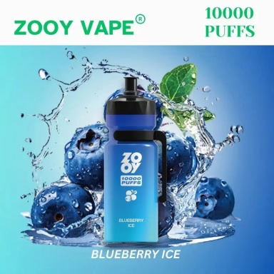 Wholesale Zooy Bar Vapes 10000 Puffs KETTLE