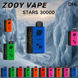 2025 Best Disposable Zooy KING 30000 Puffs Vape Wholesale Price