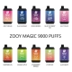 CHINA Big Puff Zooy Vape 9000 Puffs Wholesale Nicotine