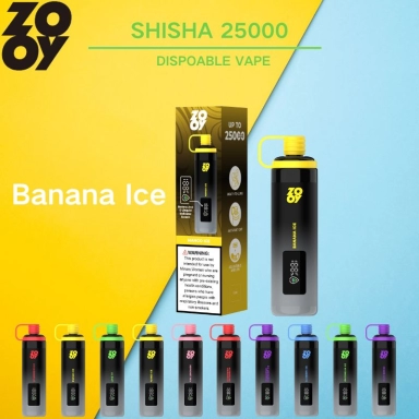 Wholesale Disposable Zooy Bar SHISHA 2 Puffs Nederland Vape Pro
