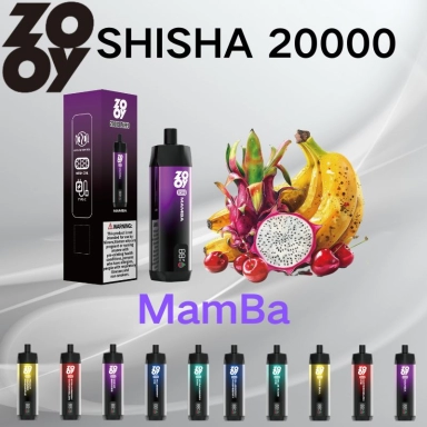 Wholesale Zooy Bar Disposable Vape Pro 20000 Puffs Nederland SHISHA