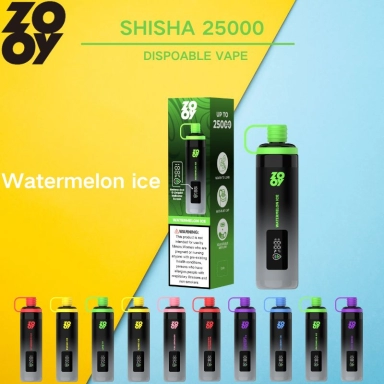 Zooy Bar Vape Pro 2 Puffs Nederland