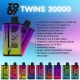 Disposable Zooy Vapes 30000 Puffs TWINS Nicotine