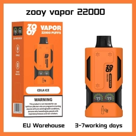 Zooy Vape 22000 Puffs Rechargeable