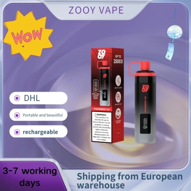 Wholesale Zooy Bar 2 Puffs Nederland shisha Disposable Vape Pro