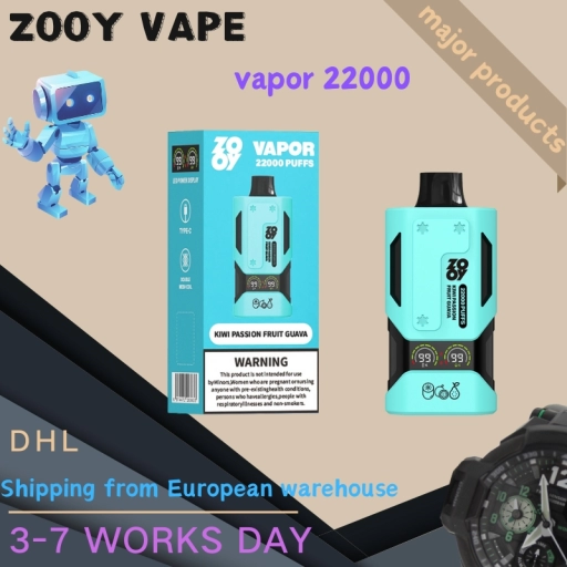2025 Best Selling Zooy Vape 22000 Puffs Nicotine