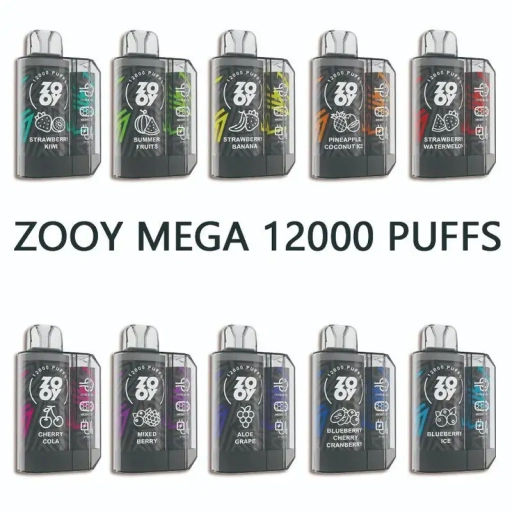 Original Zooy Bar 12000 Puffs Disposable Vape Nederland