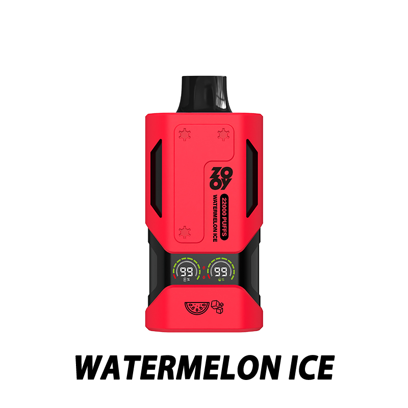 Wholesale Zooy VAPOR 22000 Puffs Nederland Vape Pro