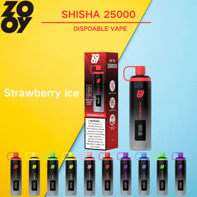 Wholesale Disposable Zooy Bar SHISHA 2 Puffs Nederland Vape Pro