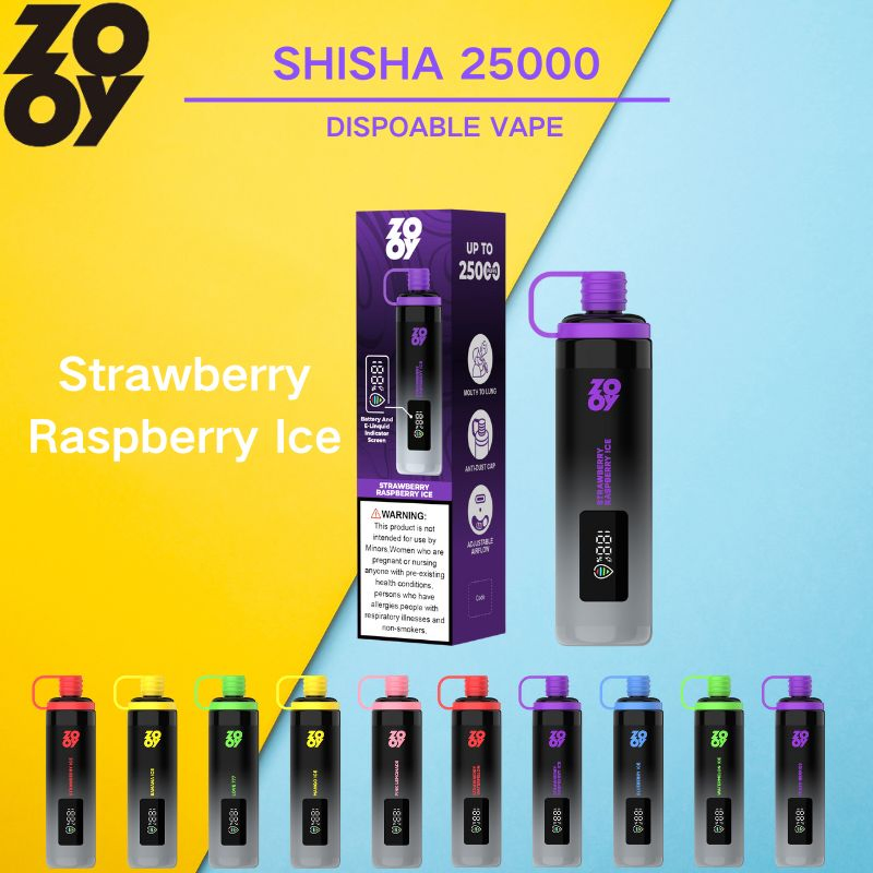 Wholesale Disposable Zooy Bar SHISHA 2 Puffs Nederland Vape Pro