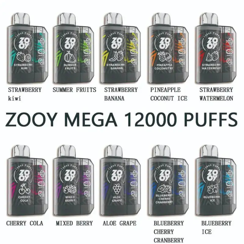 Zooy mega Disposable Vape 12000 Puffs