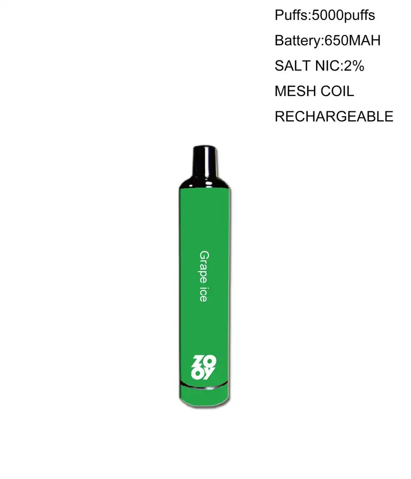 Zooy Big Puffs 5000 Disposable Vape Pen