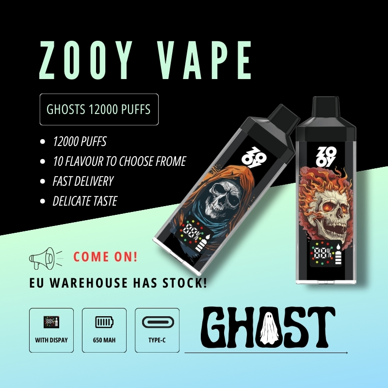 Wholesale Zooy Bar Disposable Vape Pro 12000 Puffs Nederland