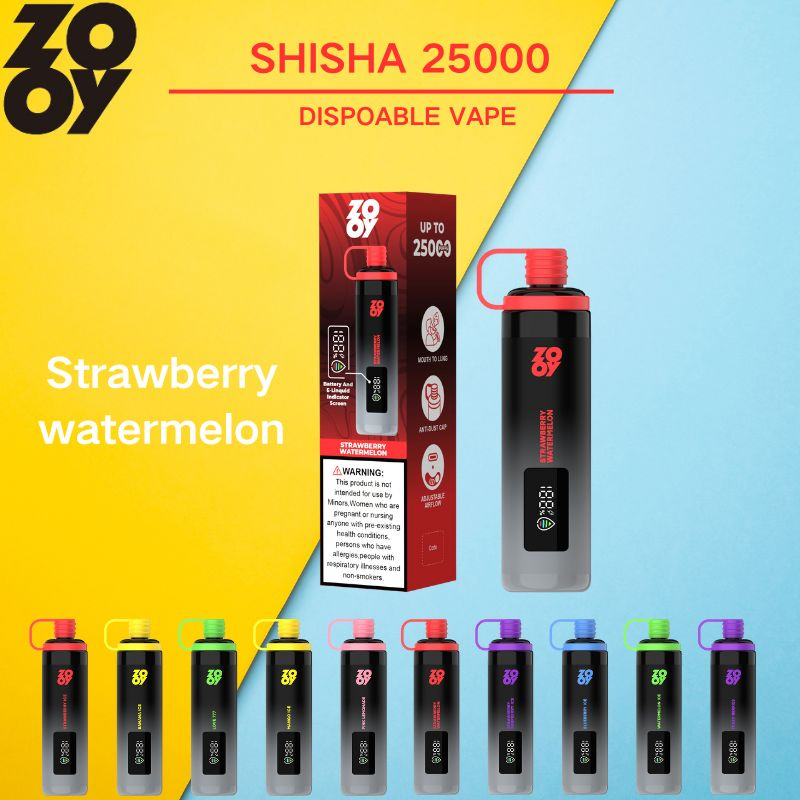Zooy Bar Vape Pro 2 Puffs Nederland