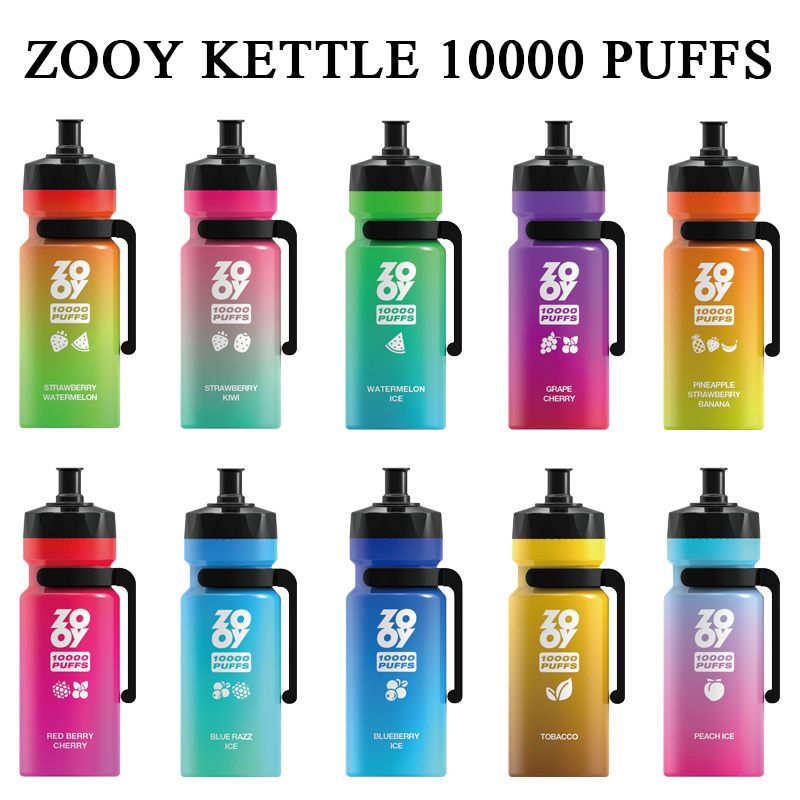 Wholesale Zooy Disposable Vape Pro Bar KETTLE 10000 Puffs Nederland