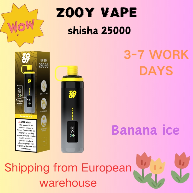 Wholesale Zooy Bar shisha Vape Pro 25000 Puffs Nederland